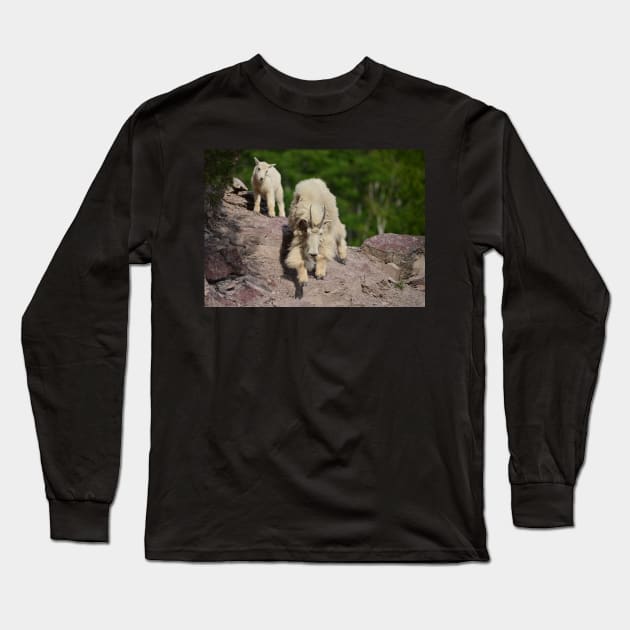 Mountain Goat Nanny and Kid Long Sleeve T-Shirt by Whisperingpeaks